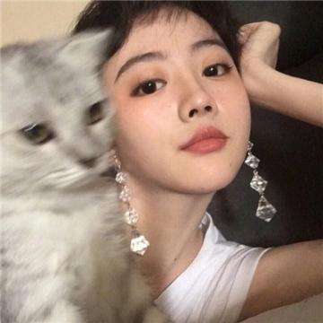 巴士运输模拟器